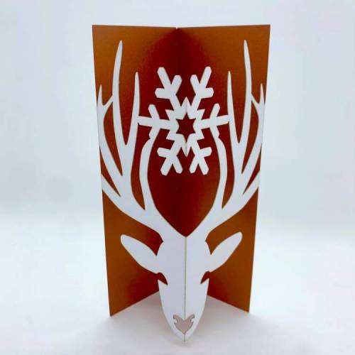 Reindeer